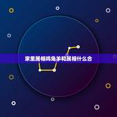 家里属相鸡兔羊和属相什么合，兔和鸡属相合不合