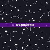 属兔本月运势如何，2016年属兔的87年的每个月运气如何