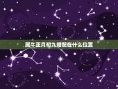 属牛正月初九婚配在什么位置，属牛的和什么属相最配 属牛的属相婚配表