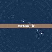 玳瑁五行属什么，只有一个玳瑁后壳可以挂在家
