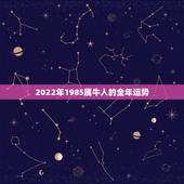 2022年1985属牛人的全年运势