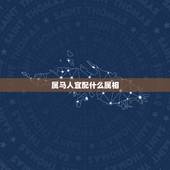 属马人宜配什么属相，属马与什么属相相克