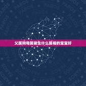 父属狗母属猪生什么属相的宝宝好，父亲属狗的和母亲属猪，生个什么属相的宝