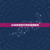 86年的虎和99年的兔婚配吗，99年属兔男和86年属虎女相配吗？