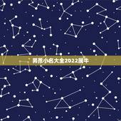 男孩小名大全2022属牛，牛宝宝小名大全男孩