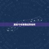 属蛇今年婚姻运势如何，属蛇今年下半年感情婚姻如何