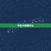今年28日属什么，2021年1月28日属什么生肖？