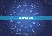 88年今年运势，我是88年 属龙的 求今年运势