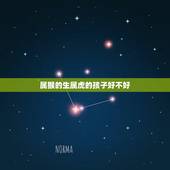 属猴的生属虎的孩子好不好，属猴女生属虎的宝宝好吗