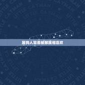 属狗人容易被那属相喜欢，属狗人适合与哪种属相的人一起工作？