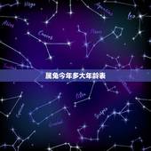 属兔今年多大年龄表，属龙今年多大年龄表