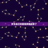 梦见自己的属相奔跑起来了，梦见自己在奔跑~怎么回事啊~