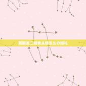 男朋友二婚我头婚怎么办婚礼，二婚男会为头婚女办婚礼吗