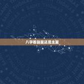 八字看副星还是主星，八字看的是天干地支还是