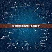 鼠妈妈羊爸爸生什么属相好，妈妈属猪，爸爸属鼠，生什么生肖的宝宝好