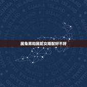 属兔男和属蛇女婚配好不好，属兔的男生和属蛇的女生