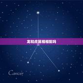 龙和虎属相相配吗，生肖龙和虎相配吗？