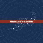 属猪的上轿下轿忌见的属相，属猪的和属牛的结婚当天忌什么属相
