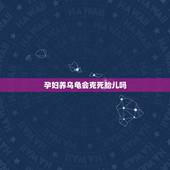 孕妇养乌龟会克死胎儿吗，关于养乌龟的一些问题