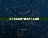 二月鸡到底能不能与四月兔婚配，兔和鸡怎么才不相冲