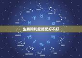 生肖狗和蛇婚配好不好，算命狗和蛇母女关系好不好