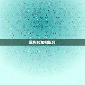 属狗和龙相配吗，属龙的跟属马的相配吗