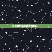 属兔的婚配属虎的好吗，属兔和属虎的结婚好吗？