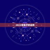 2022年兔子的运势，2021属兔人全年运势男1975