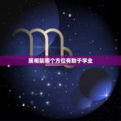 属相鼠哪个方位有助于学业，鼠和什么属相结合好啊
