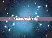 1978属马女后半生命运，1978年属马，女，请问我生辰八字及近期运势