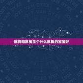 属狗和属兔生个什么属相的宝宝好，属兔和什么属相比较相配
