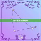 金牛星座今日运势，星座屋 星座运势金牛座明天考试情况查询