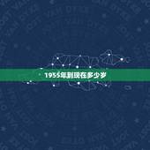 1955年到现在多少岁，1955年到2022 年多大年龄