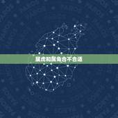 属虎和属兔合不合适，虎跟兔子属相合不合