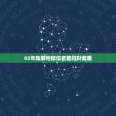 63年兔那种微信名能招财健康，为什么很多领导使用的微信头像大多是山水景