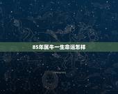 85年属牛一生命运怎样 85年属牛人一生命运