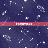 生肖牛做生意运势，生肖牛做生意应该注意什么