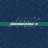 是前世的姻缘也好然而这一切，是命运的安排也好，是命运的捉弄也罢然而这一