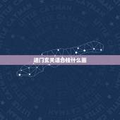 进门玄关适合挂什么画，一进门看见什么画更好