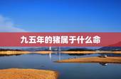 九五年的猪属于什么命，95属猪哪一年结婚更好