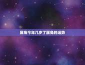 属兔今年几岁了属兔的运势，87年属兔34岁有一劫2022