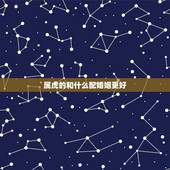 属虎的和什么配婚姻更好，1998年属虎更佳婚配