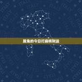 属兔的今日打麻将财运，测一下今天的麻将运