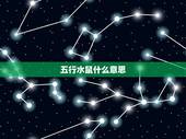 五行水鼠什么意思，属鼠的女人命运