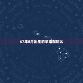 67年8月出生的羊婚配蛇么，67年羊和羊结婚好不好？