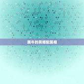 属牛的男婚配属相，属牛男的和什么属相最配