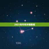 2021年牛年冲啥属相，牛年十二生肖运势2021运势详解