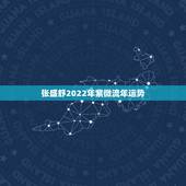 张盛舒2022年紫微流年运势，紫薇命盘如何看未来一年和未来十年运势，请