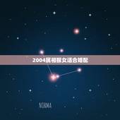 2004属相猴女适合婚配，属猴的与什么属相相克