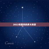 2022年属羊的多大年龄，属羊的年份表对年龄